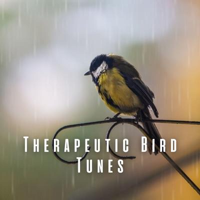 Therapeutic Bird Tunes's cover