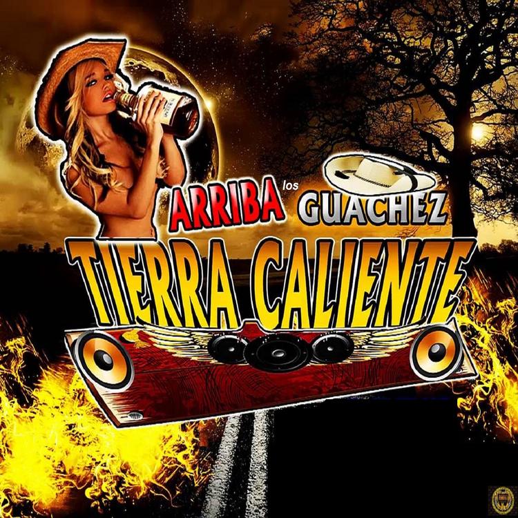 Tierra Caliente's avatar image
