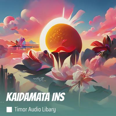 Kaidamata Ins (Remix)'s cover