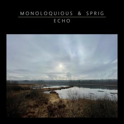 Echo By Monoloquious, Sprig's cover