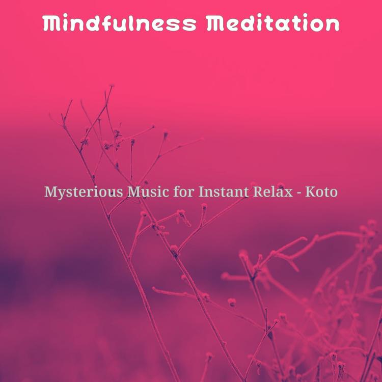 Mindfulness Meditation's avatar image