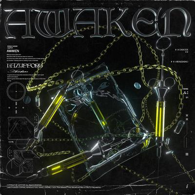 Awaken (feat. A'byss)'s cover