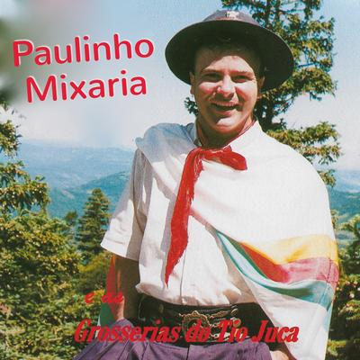 Encambichado pela Tia Pedregunda (Ao Vivo) By Paulinho Mixaria's cover