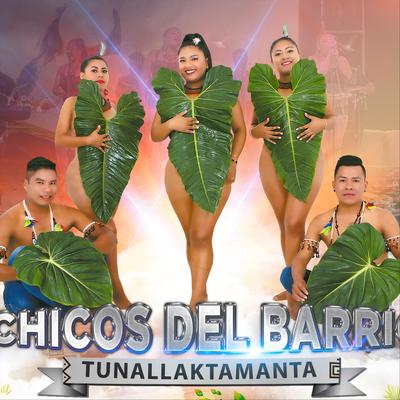 Tunallaktamanta's cover