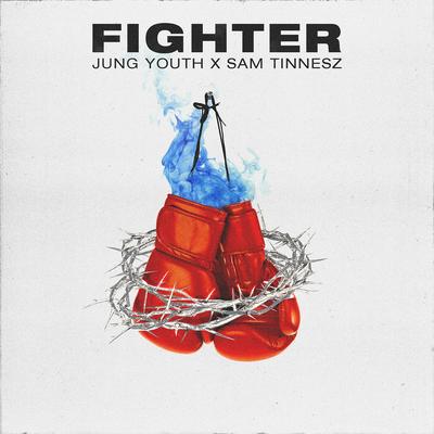 Fighter's cover