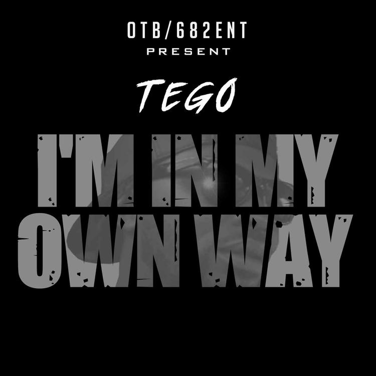 682 Tego's avatar image