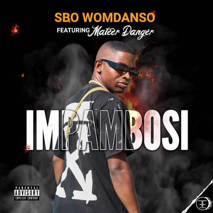 Sbo Womdanso's avatar image
