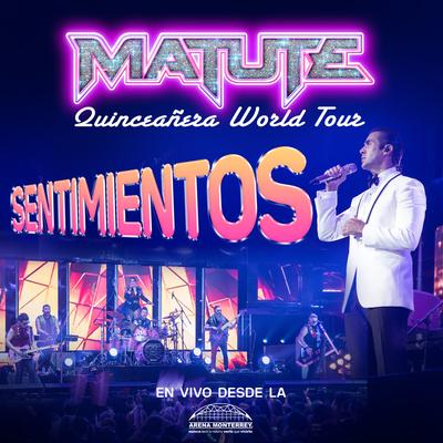 Sentimientos (Quinceañera World Tour En Vivo Desde La Arena Monterrey)'s cover