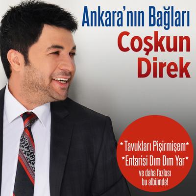 Ankara'nın Bağları By Coşkun Direk's cover