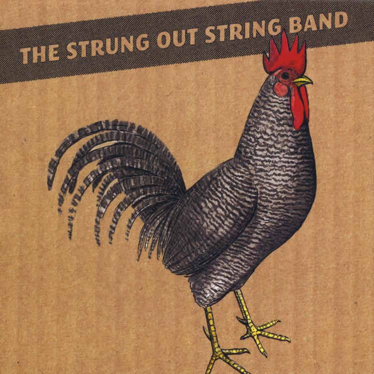 Strung Out String Band's avatar image