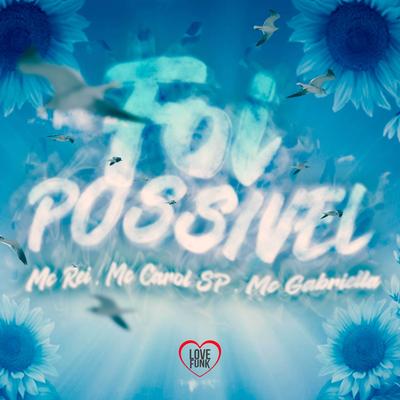 Foi Possivel By Mc Carol SP, Mc Gabriella, MC Rei, Love Funk's cover