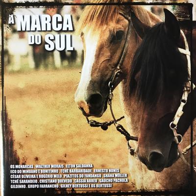 Recuerdo By César Oliveira & Rogério Melo's cover