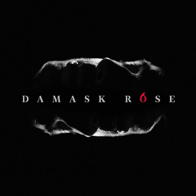 Damask Rose's avatar image