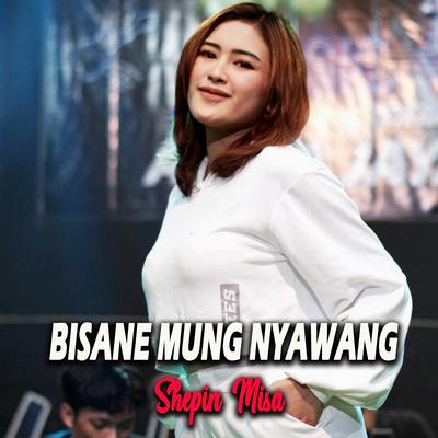 Bisane Mung Nyawang By Shepin Misa's cover