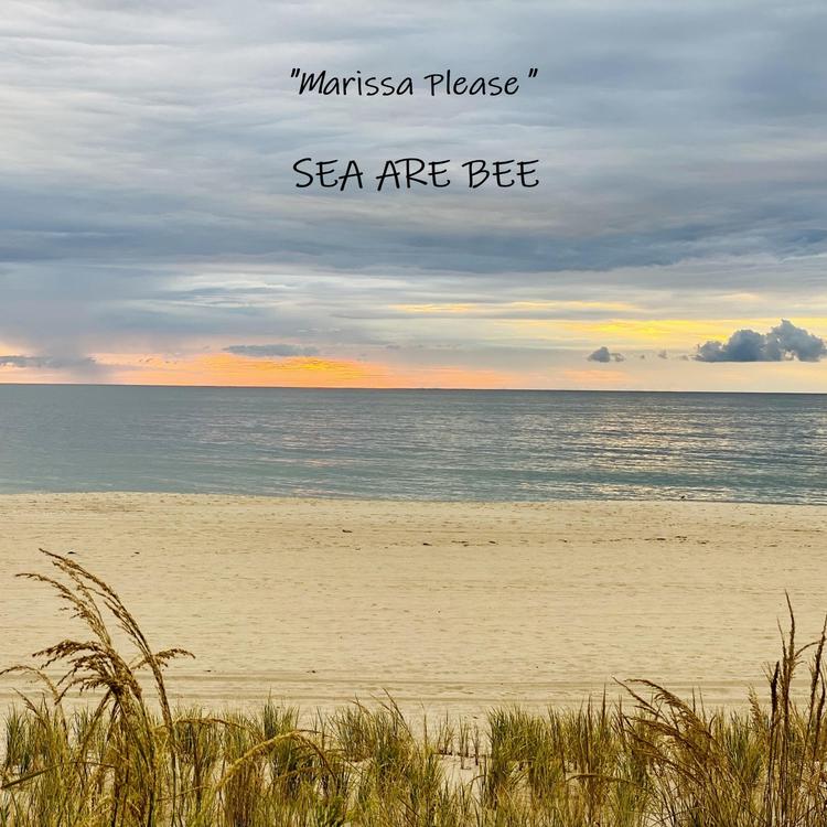 Sea Are Bee's avatar image