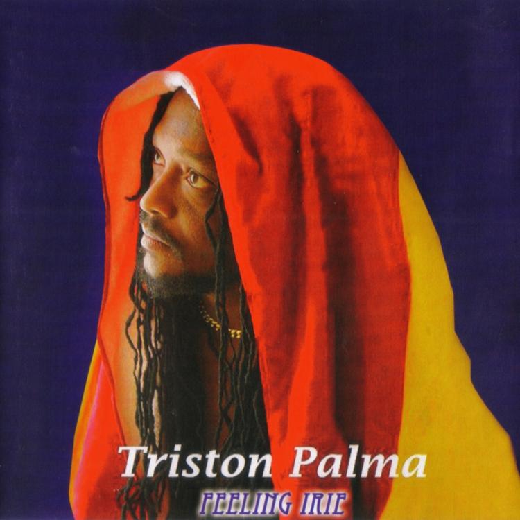 Tristan Palma's avatar image