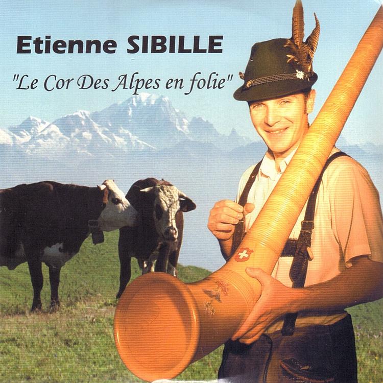 Etienne Sibille's avatar image