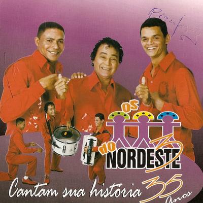 Os 3 do Nordeste 35 Anos ao Vivo's cover