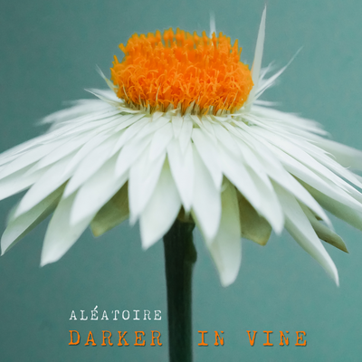 Aléatoire By Darker In Vine's cover