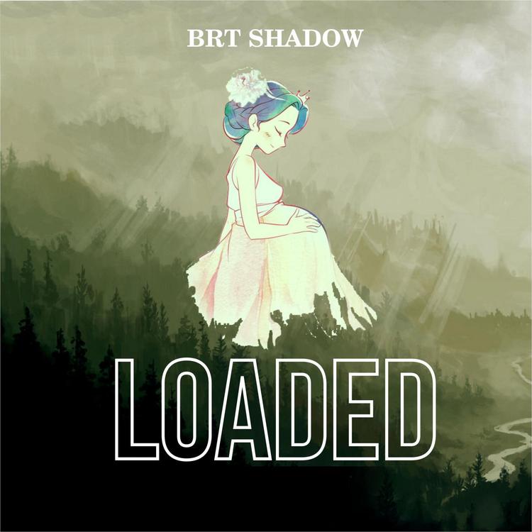 BRT Shadow's avatar image