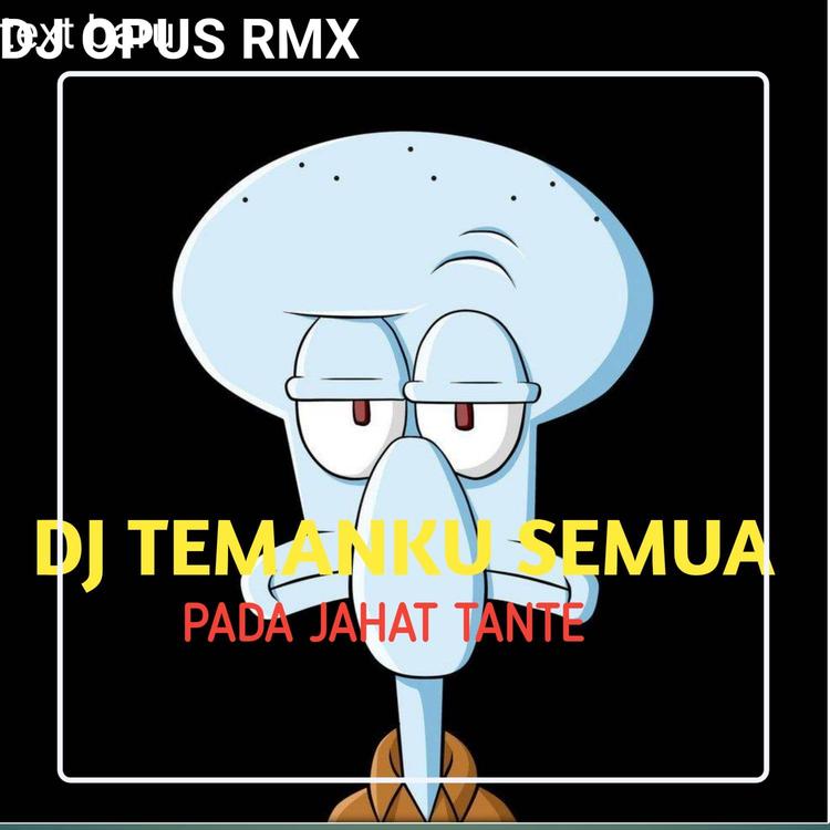 DJ OPUS RMX's avatar image