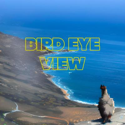 Bird Eye View (Enhanced Version)'s cover