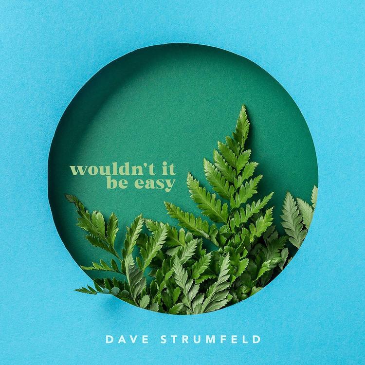 Dave Strumfeld's avatar image