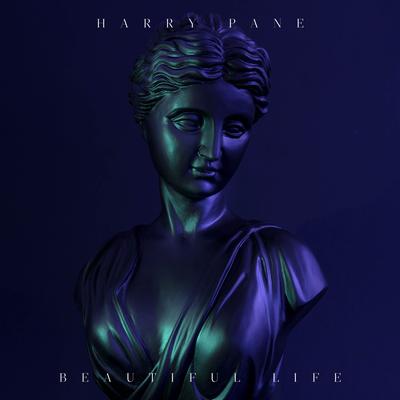 Beautiful Life By Harry Pane's cover