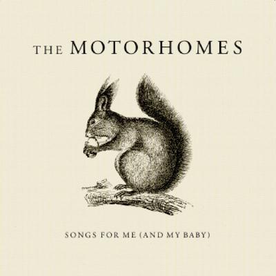 Into The Night (Album Version) By The Motorhomes's cover