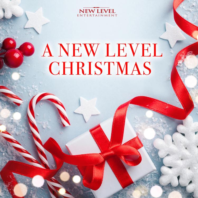 New Level Entertainment's avatar image