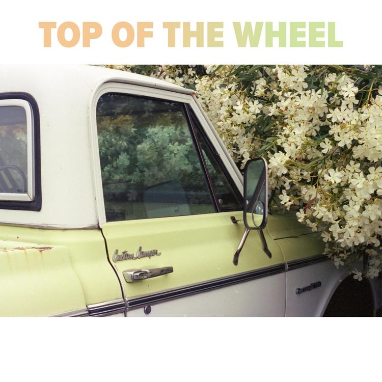 Top of the Wheel's avatar image