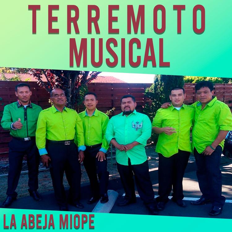 Terremoto Musical's avatar image