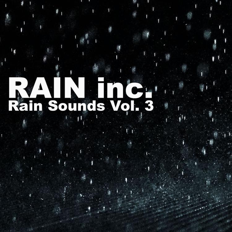 Rain Inc's avatar image