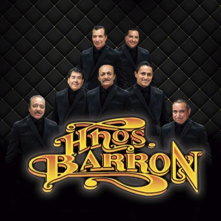 Hnos. Barron's avatar image