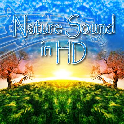 Quiet Day in the Country for Deep Meditation and Peace of Mind By Nature Sounds In HD's cover