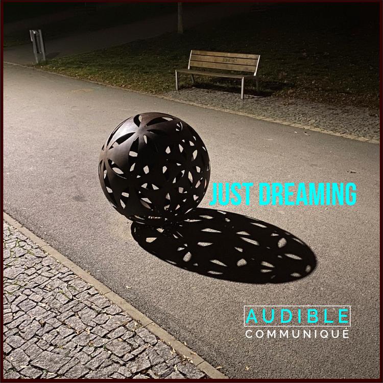 Audible Communiqué's avatar image