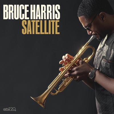 Satellite By Bruce Harris's cover