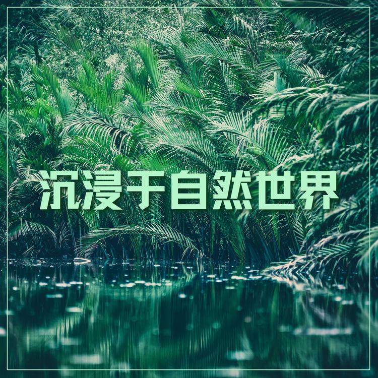 大自然之声's avatar image