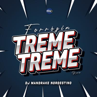 Forrózin Treme Treme By Dj Mandrake Nordestino's cover