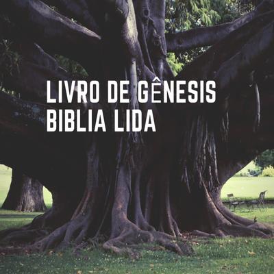 C11-20Livro de Genesis Biblia Lida's cover