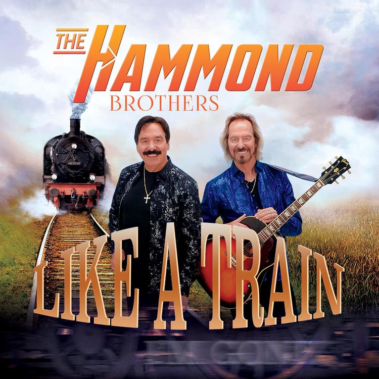 The Hammond Brothers's avatar image