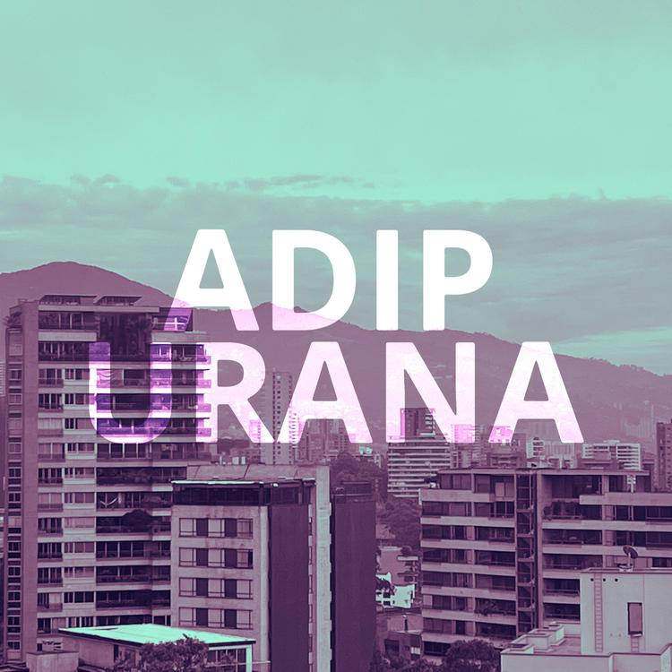 ADIP's avatar image