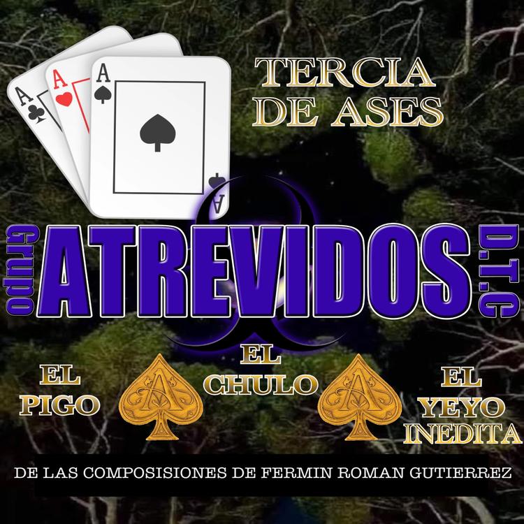 GRUPO ATREVIDOS DTC's avatar image