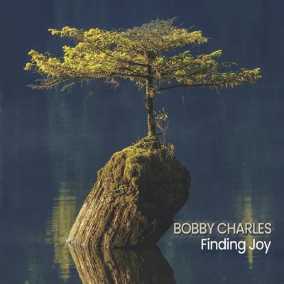 Be Still By Bobby Charles's cover