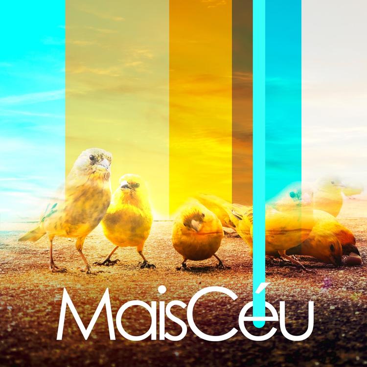 Maiscéu's avatar image