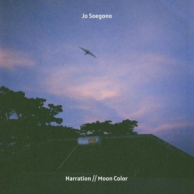 Moon Color By Jo Soegono's cover