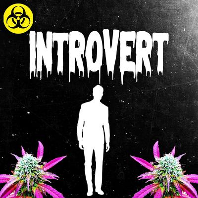 Introvet's cover