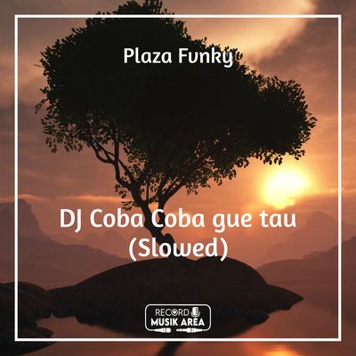 Plaza Fvnky's cover