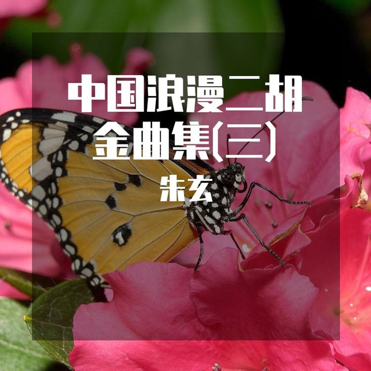 朱玄's avatar image
