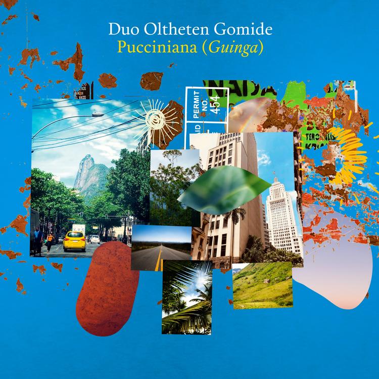 Duo Oltheten Gomide's avatar image